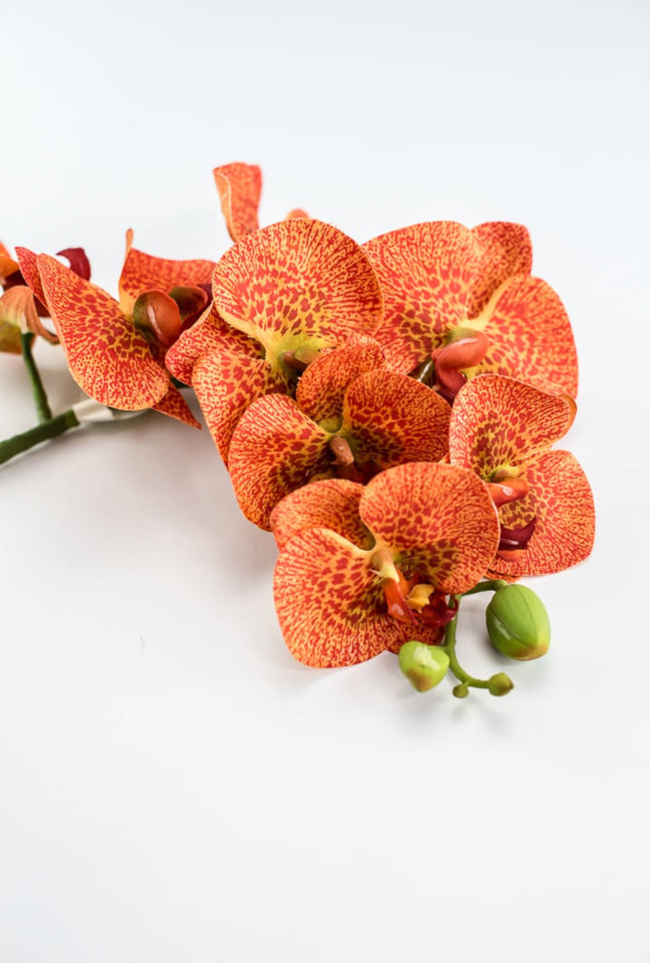 phalaenopsis, orchid Flower spray - bright orange - Greenery MarketArtificial FloraMTF20032 ORNG