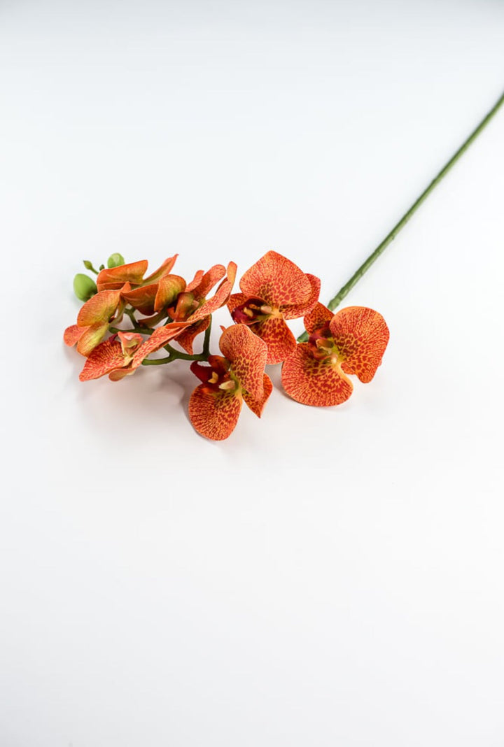 phalaenopsis, orchid Flower spray - bright orange - Greenery MarketArtificial FloraMTF20032 ORNG