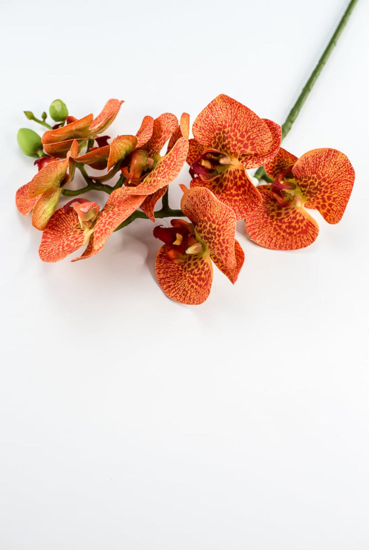 phalaenopsis, orchid Flower spray - bright orange - Greenery MarketArtificial FloraMTF20032 ORNG