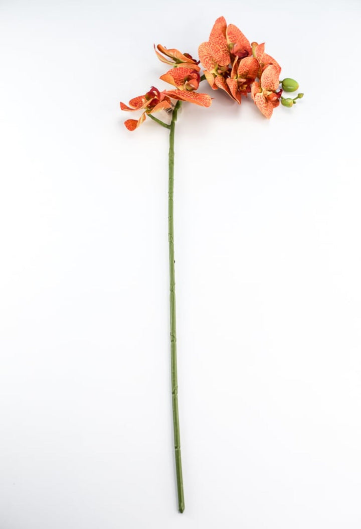 phalaenopsis, orchid Flower spray - bright orange - Greenery MarketArtificial FloraMTF20032 ORNG