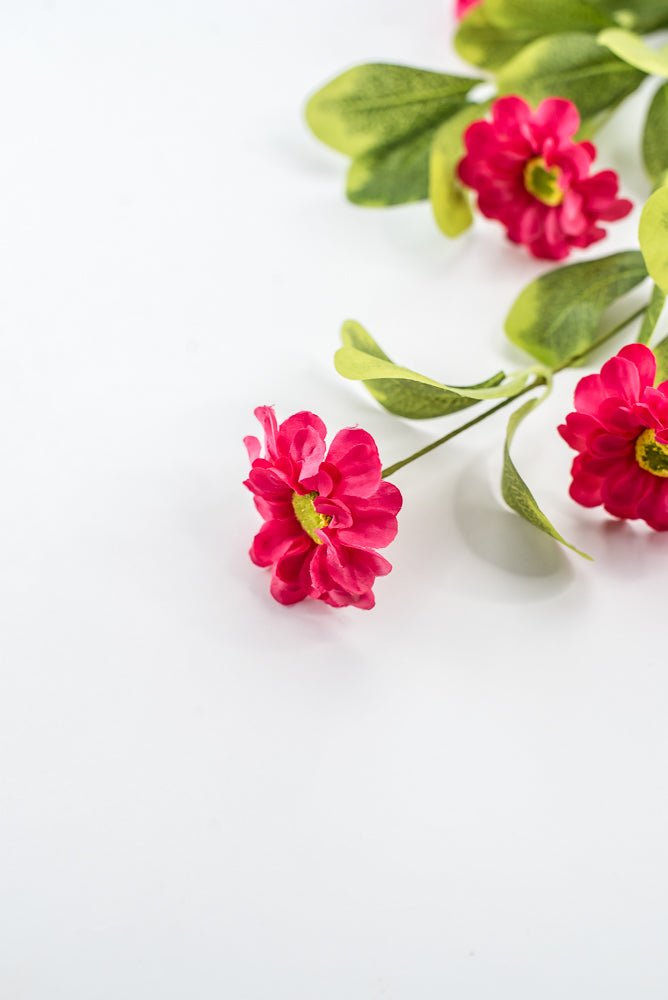 Pink Button Zinnia Spray - Greenery MarketMTF24321 BTY
