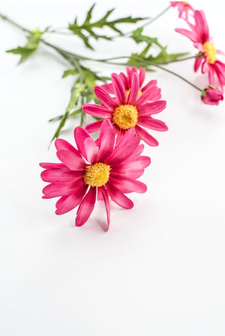 Pink Daisy Spray - Greenery Market29468BT