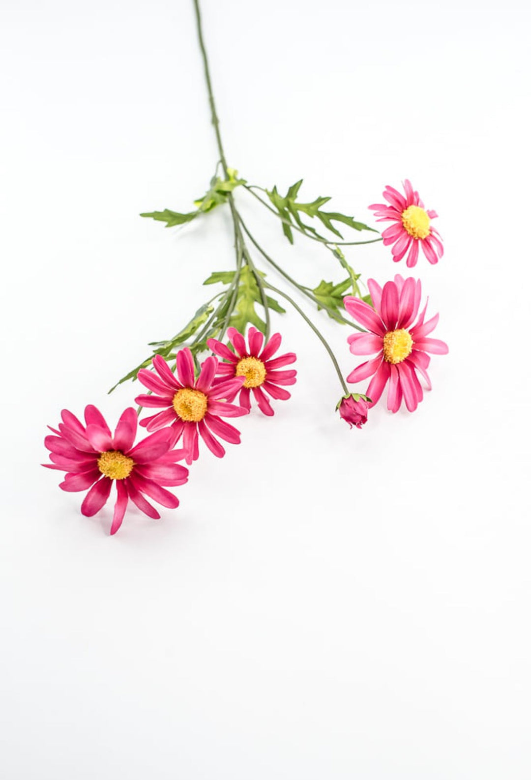 Pink Daisy Spray - Greenery Market29468BT