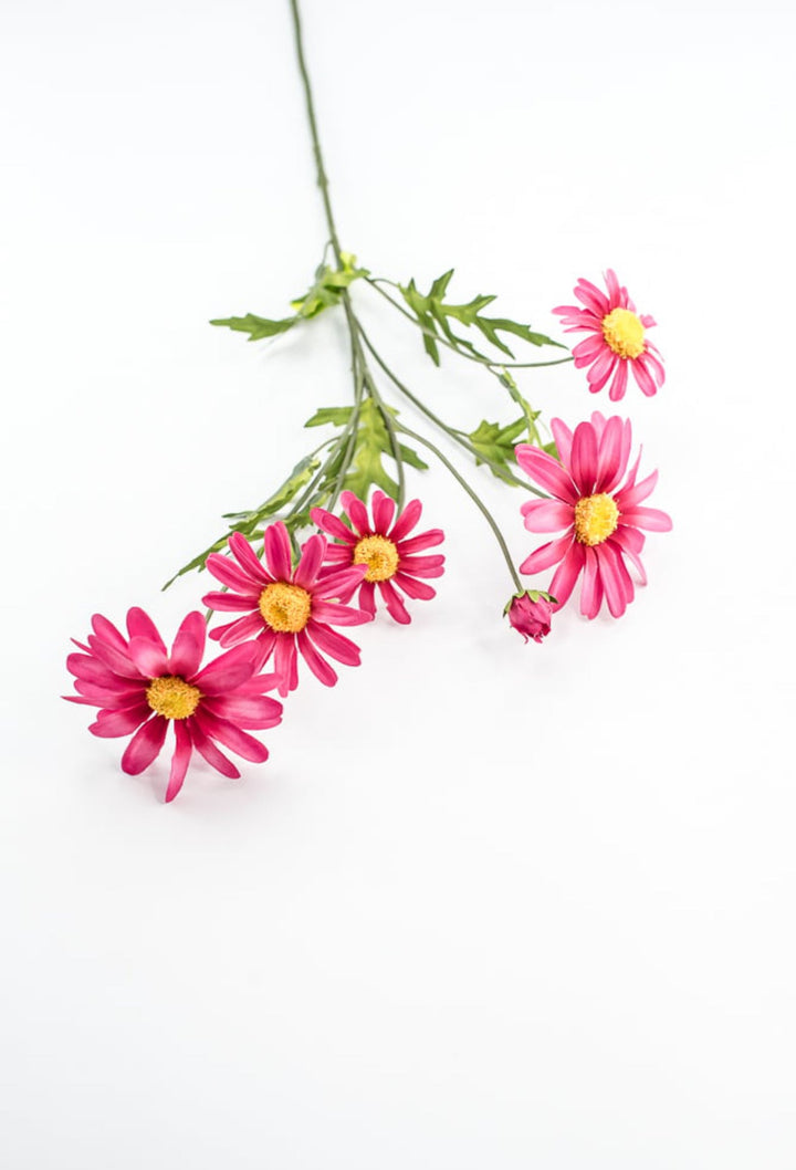 Pink Daisy Spray - Greenery Market29468BT