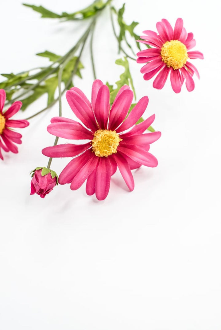 Pink Daisy Spray - Greenery Market29468BT