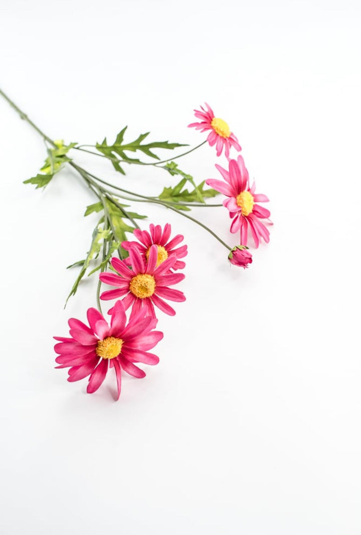 Pink Daisy Spray - Greenery Market29468BT