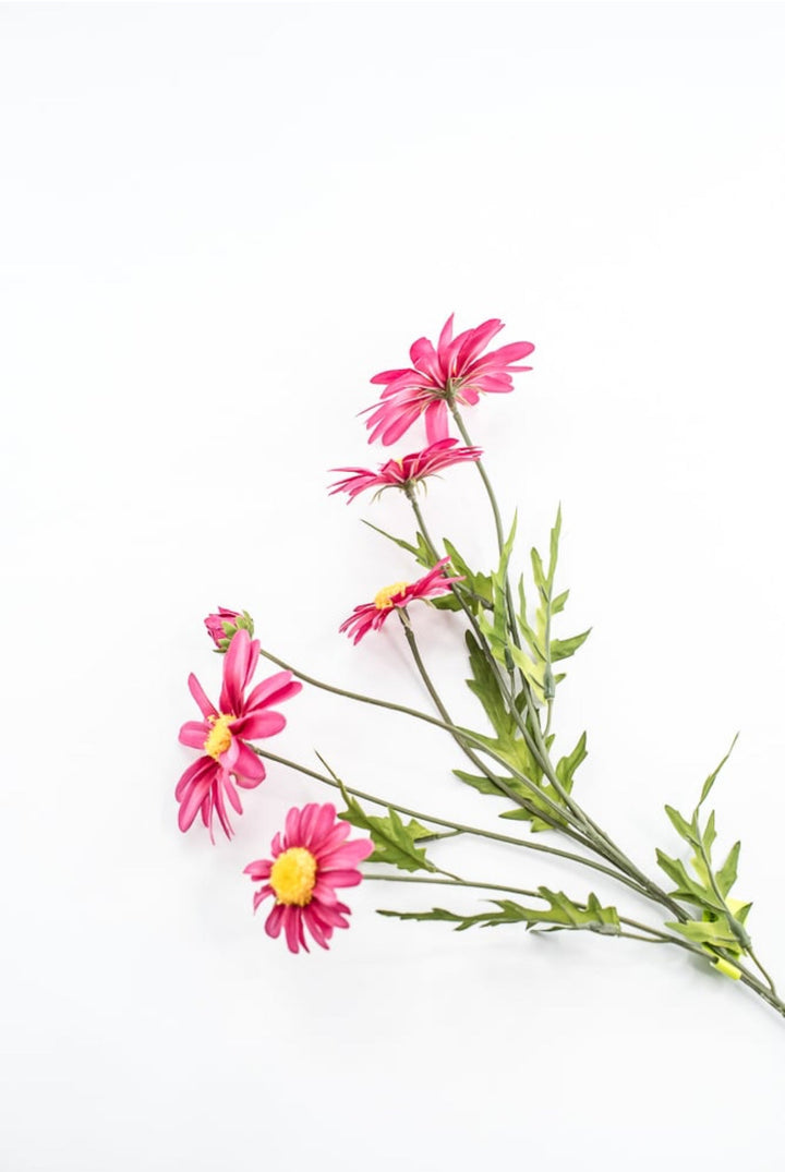 Pink Daisy Spray - Greenery Market29468BT