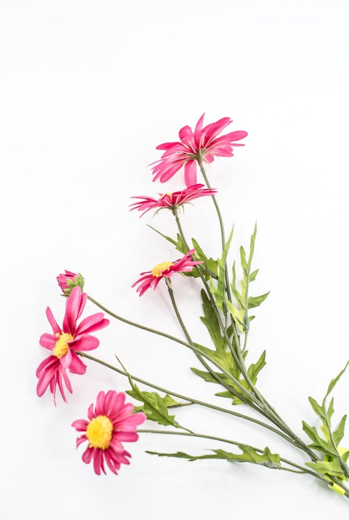 Pink Daisy Spray - Greenery Market29468BT