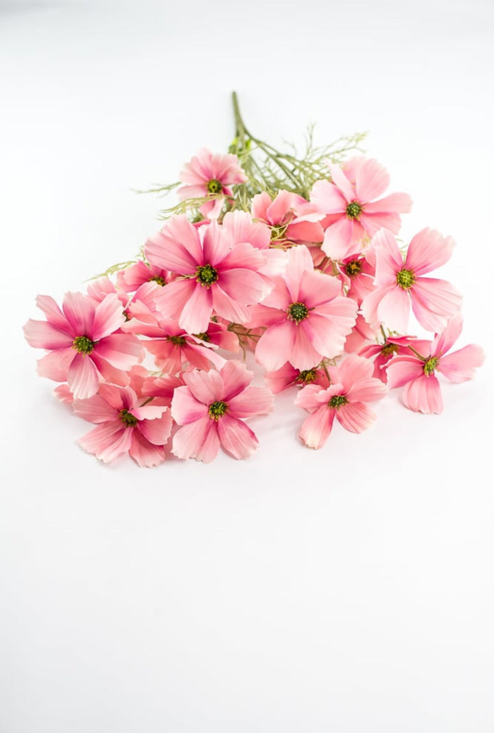 Pink Garden Cosmos Bush - Greenery Market63664PK