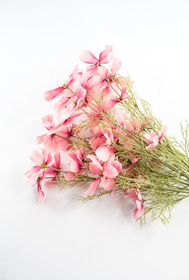 Pink Garden Cosmos Bush - Greenery Market63664PK