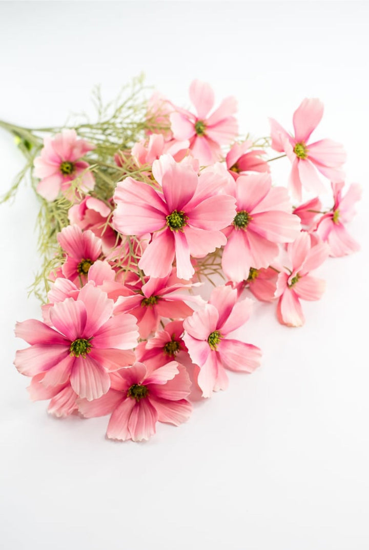 Pink Garden Cosmos Bush - Greenery Market63664PK