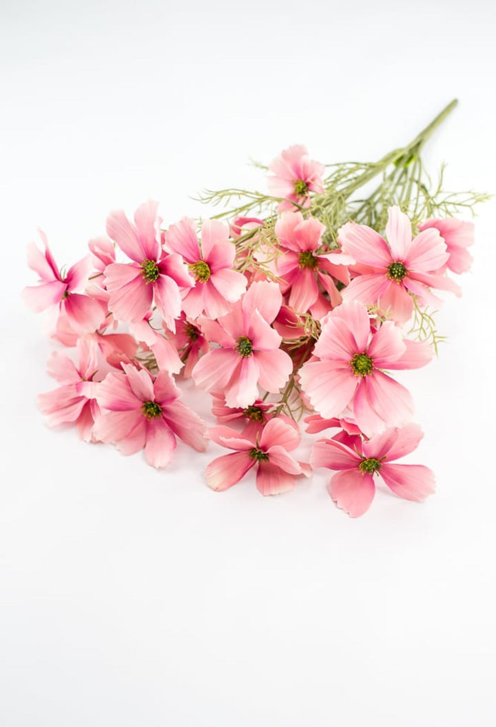 Pink Garden Cosmos Bush - Greenery Market63664PK