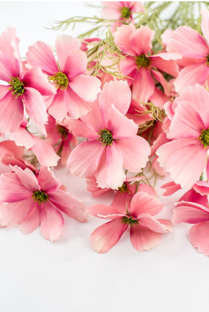 Pink Garden Cosmos Bush - Greenery Market63664PK