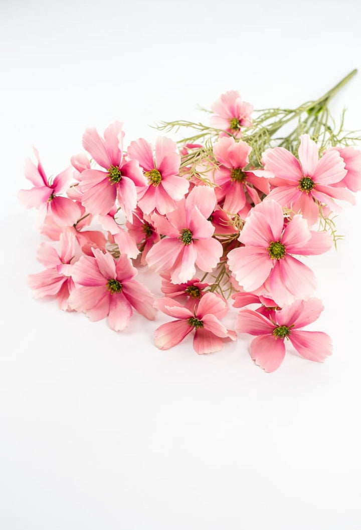 Pink Garden Cosmos Bush - Greenery Market63664PK