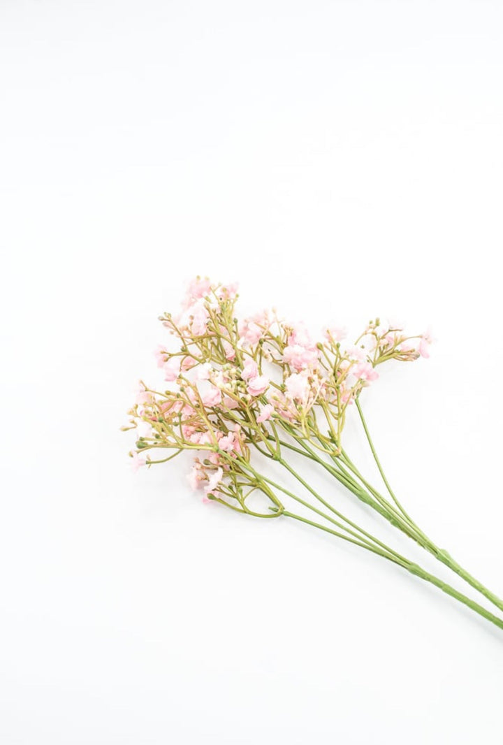 Pink Gypso Spray - Greenery Market13615PK