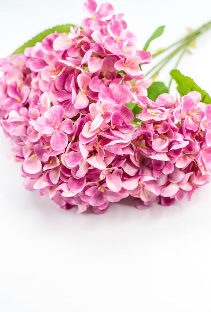 Pink Hydrangea Bush - Greenery Market221799