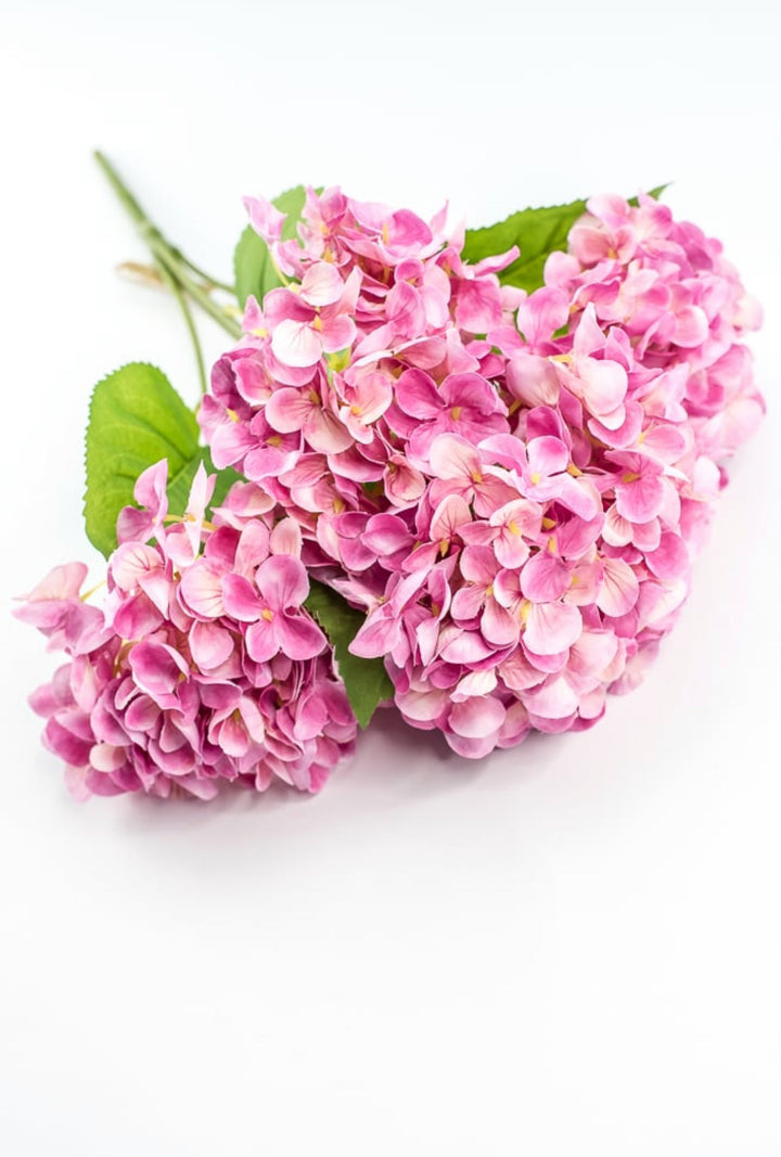 Pink Hydrangea Bush - Greenery Market221799