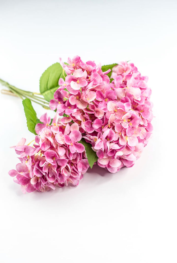 Pink Hydrangea Bush - Greenery Market221799