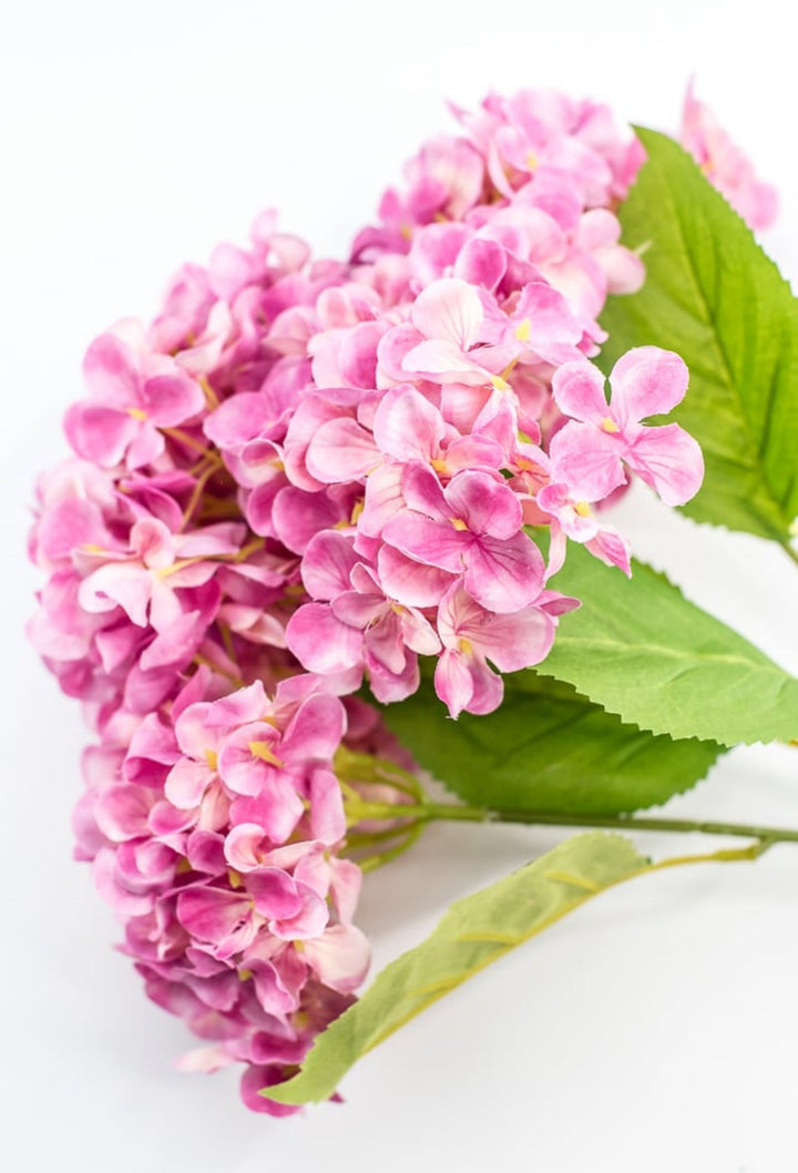 Pink Hydrangea Bush - Greenery Market221799