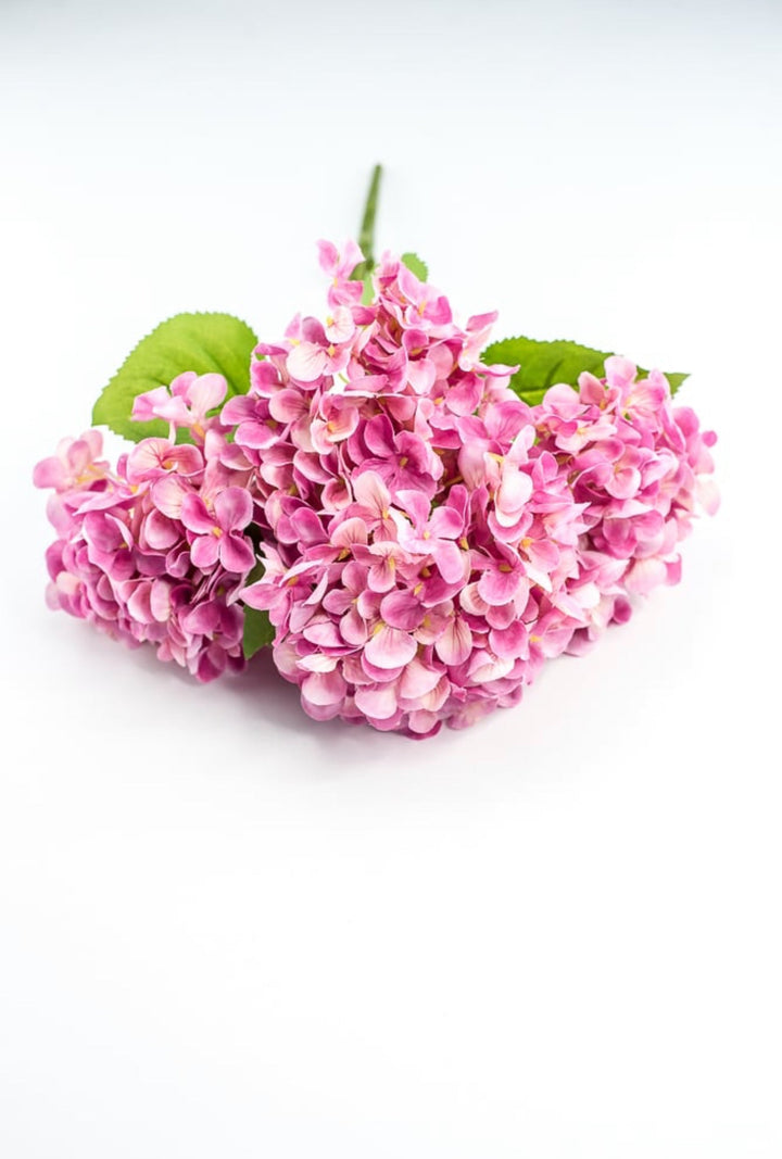 Pink Hydrangea Bush - Greenery Market221799