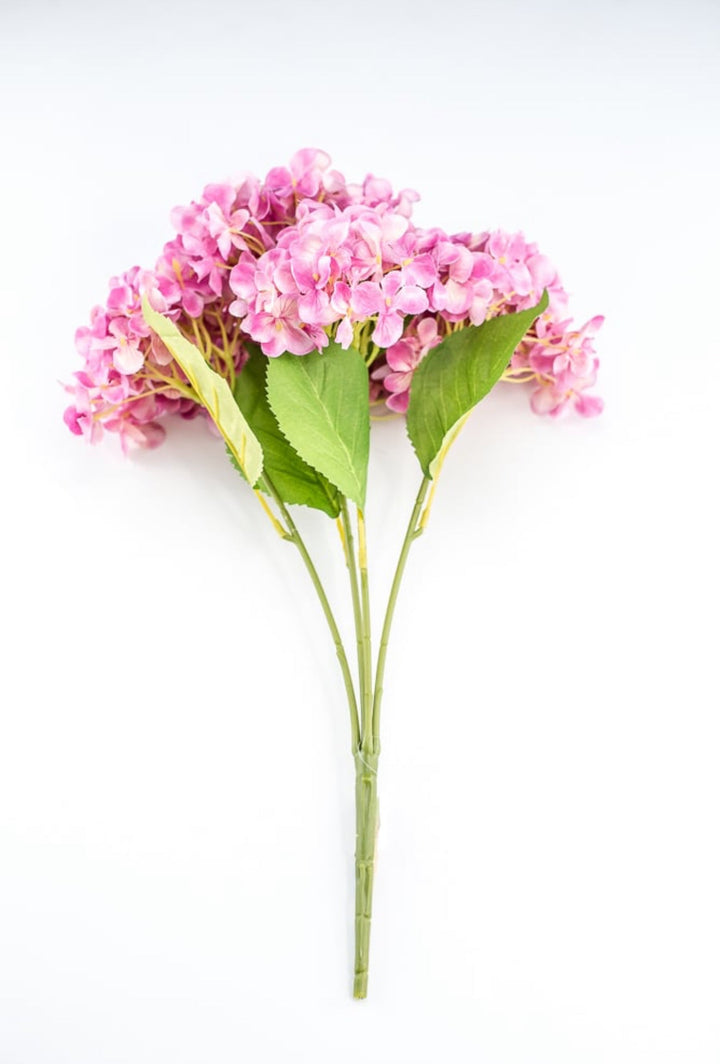 Pink Hydrangea Bush - Greenery Market221799
