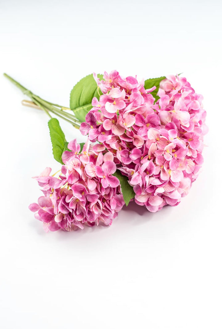 Pink Hydrangea Bush - Greenery Market221799