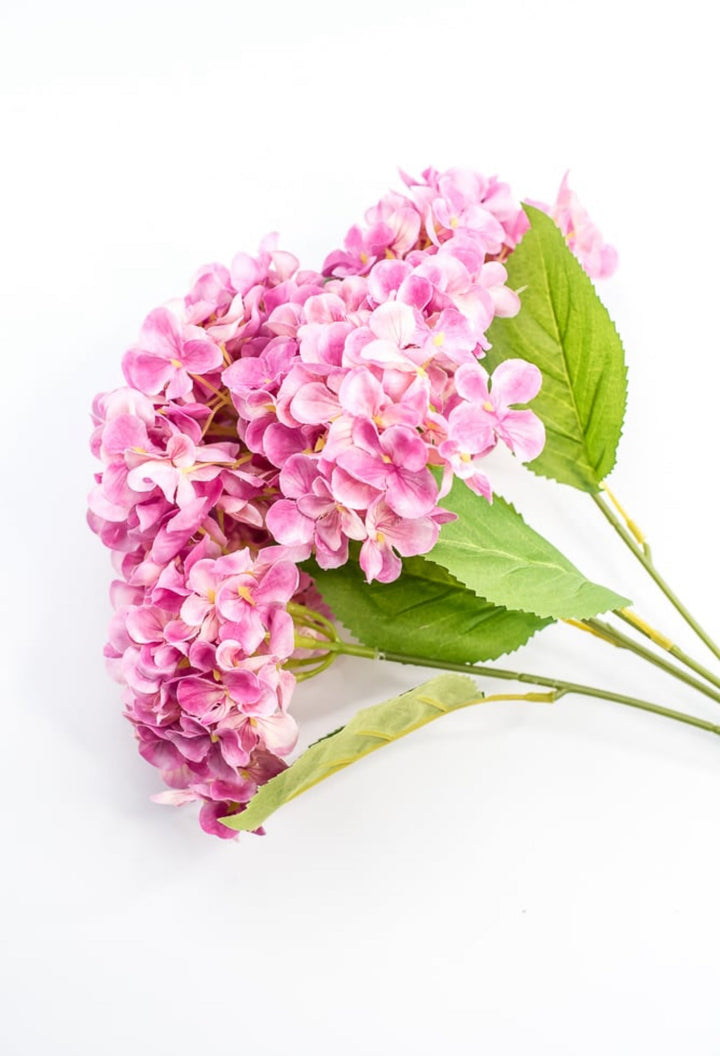 Pink Hydrangea Bush - Greenery Market221799