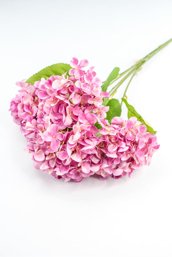 Pink Hydrangea Bush - Greenery Market221799