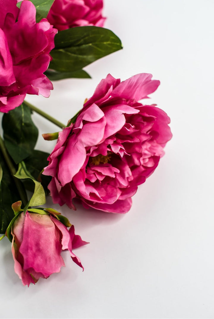 Pink Peony artificial flower spray - Greenery Marketartificial flowersMTF23105 BTY