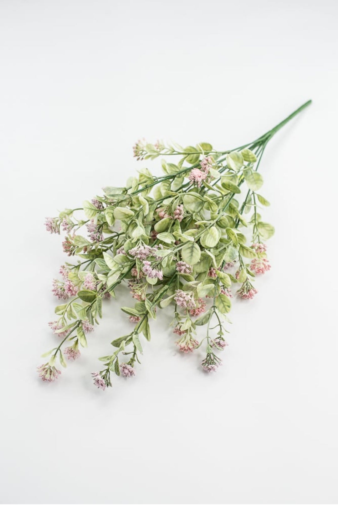 Pink Sedium Filler Bush - Greenery Market13635PK