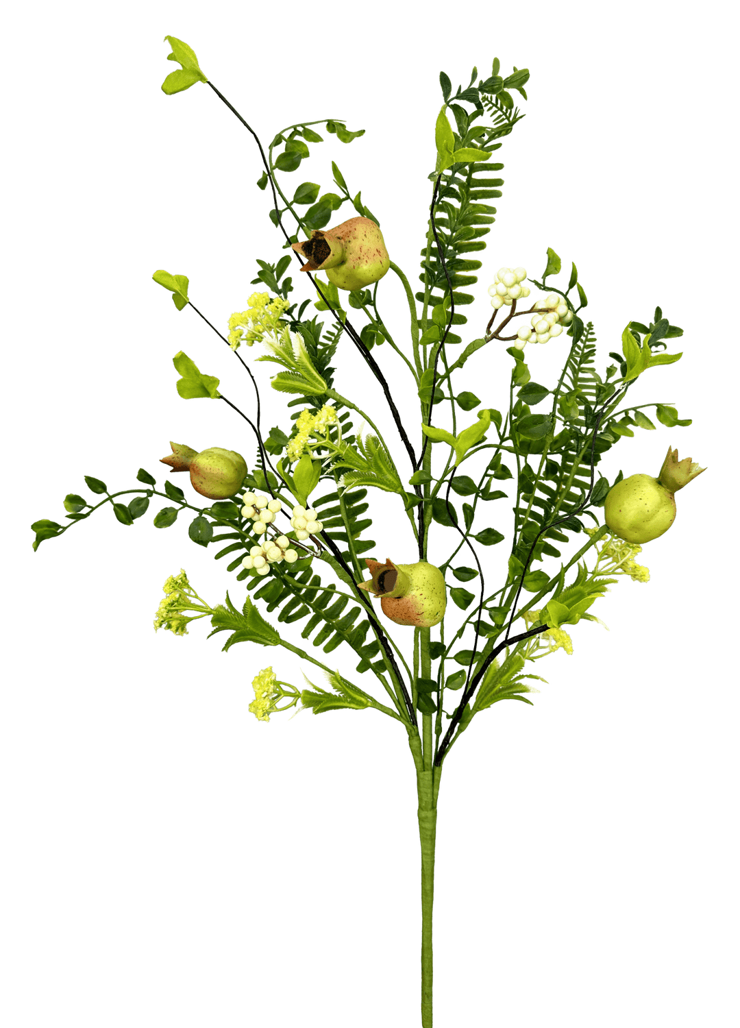 Pod Fern Spray - Greenery Market63589NAT