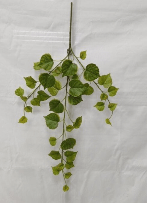 Potatoe Leaf Spray x Bulk 6 Sprays - Greenery MarketMTF24585