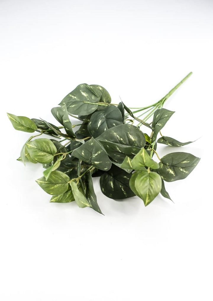 Potho leaves plant bush - Greenery Marketgreenery13396gn