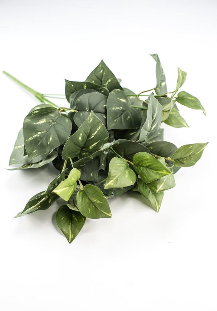 Potho leaves plant bush - Greenery Marketgreenery13396gn