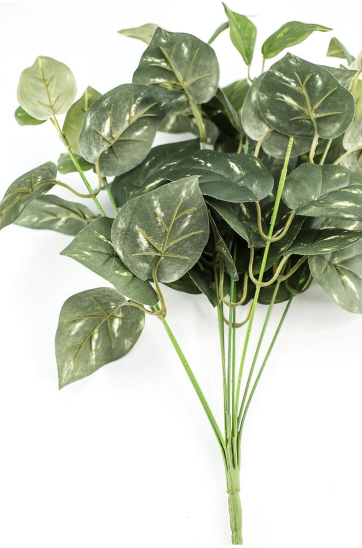 Potho leaves plant bush - Greenery Marketgreenery13396gn