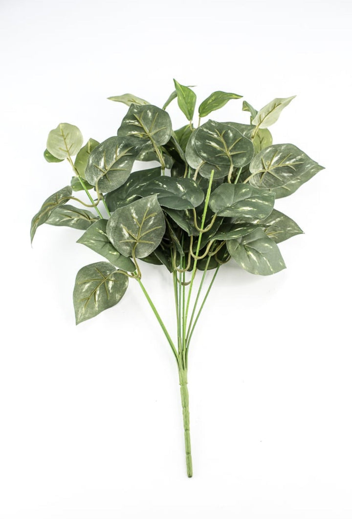 Potho leaves plant bush - Greenery Marketgreenery13396gn