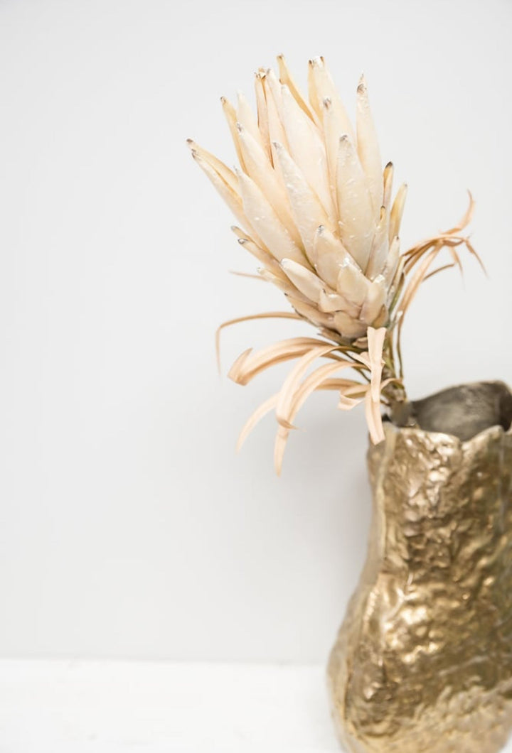 Protea flower stem - large - cream - Greenery Market27846