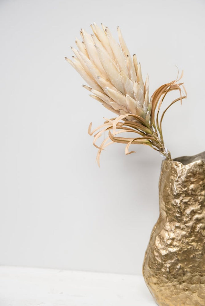 Protea flower stem - large - cream - Greenery Market27846