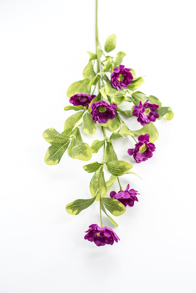 Purple Button Zinnia Spray - Greenery MarketMTF24321 PURP