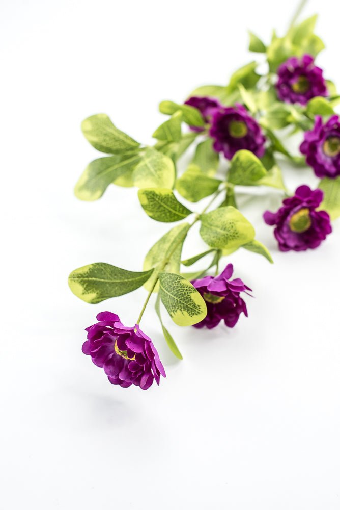 Purple Button Zinnia Spray - Greenery MarketMTF24321 PURP