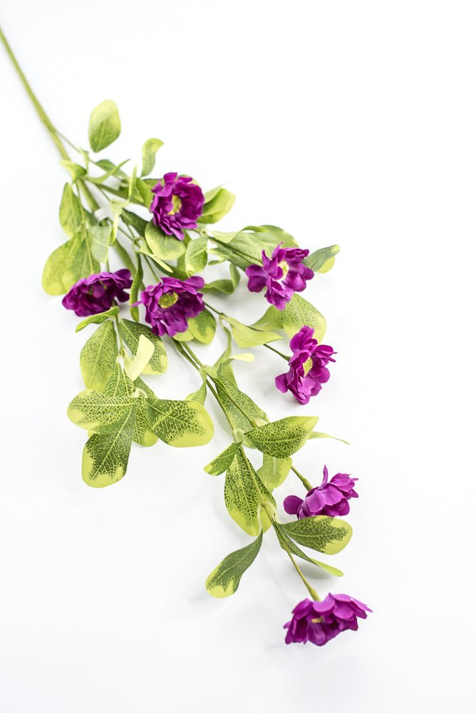 Purple Button Zinnia Spray - Greenery MarketMTF24321 PURP