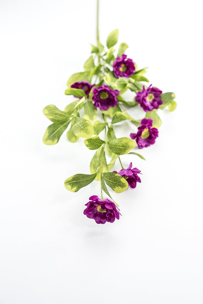 Purple Button Zinnia Spray - Greenery MarketMTF24321 PURP