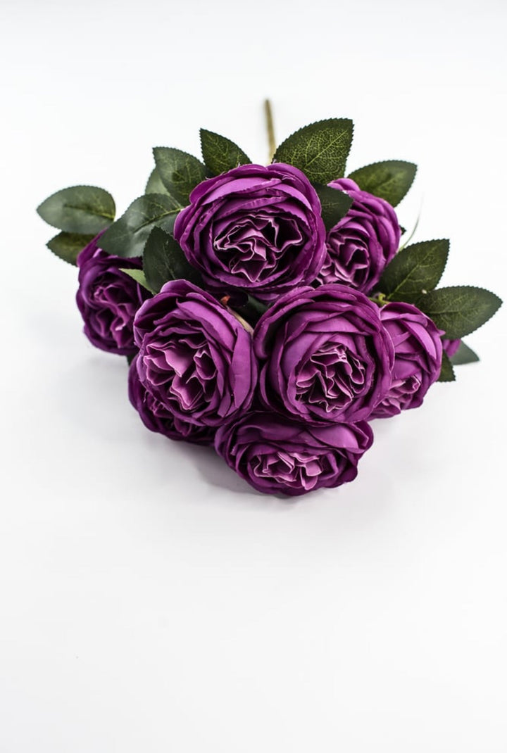 Purple Cabbage Rose Bush - Greenery Market35133PU