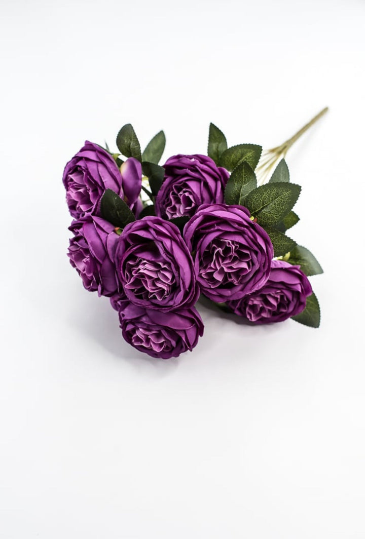 Purple Cabbage Rose Bush - Greenery Market35133PU