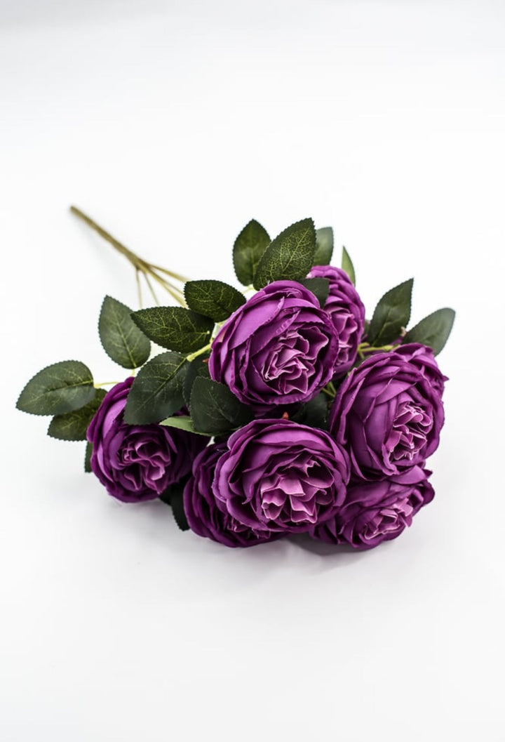 Purple Cabbage Rose Bush - Greenery Market35133PU