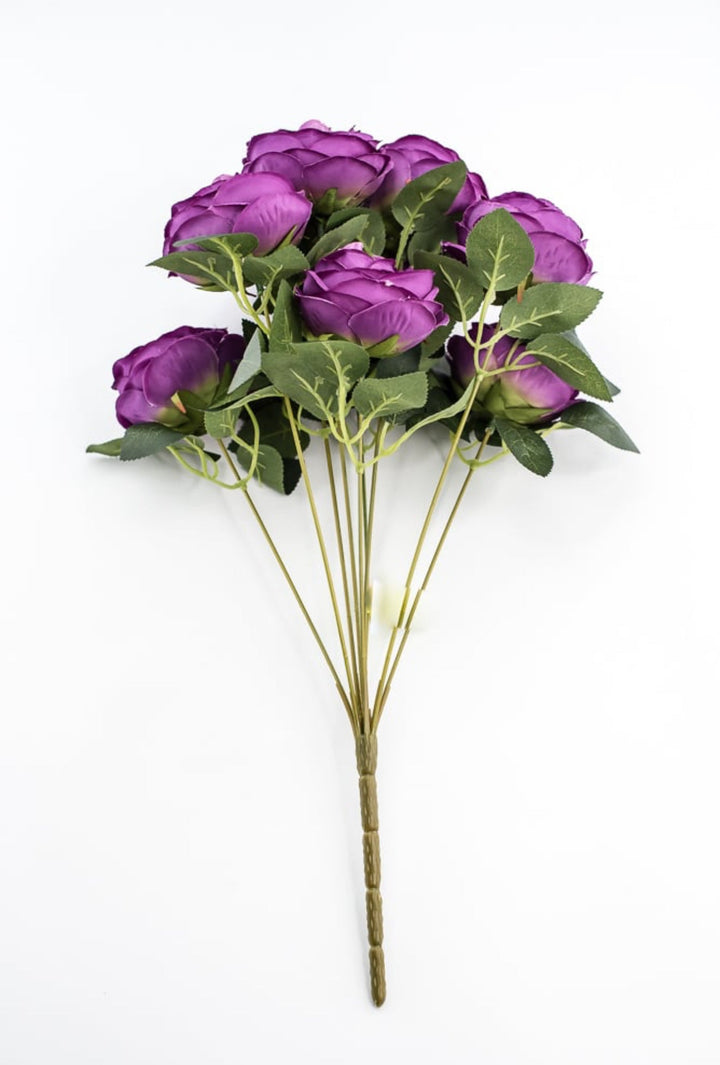 Purple Cabbage Rose Bush - Greenery Market35133PU