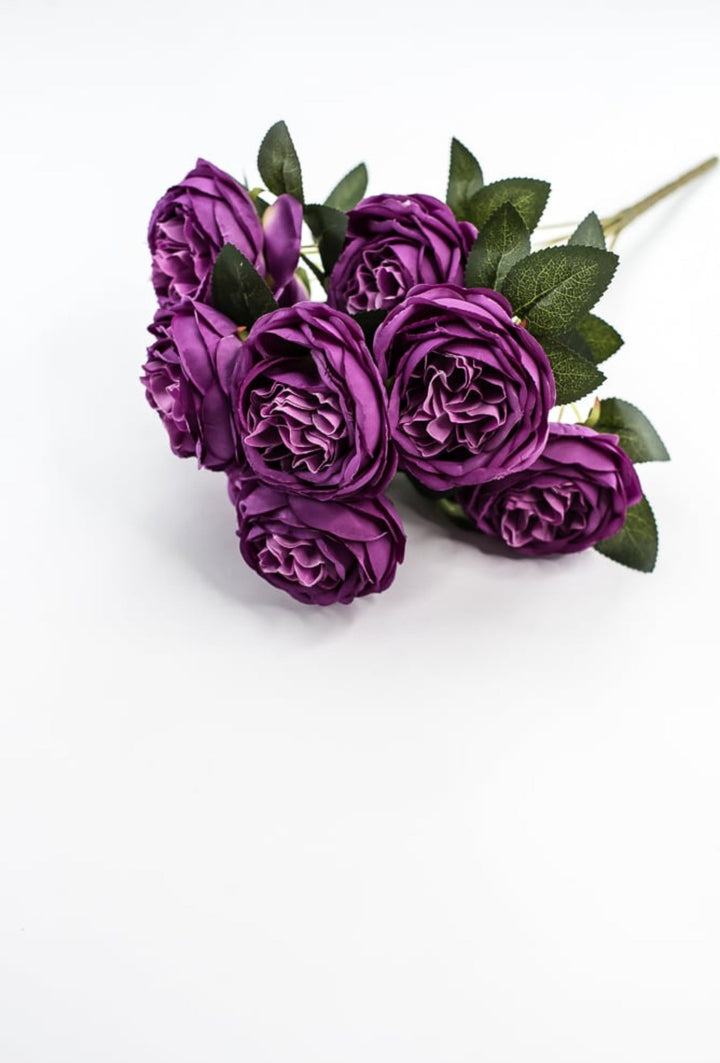 Purple Cabbage Rose Bush - Greenery Market35133PU