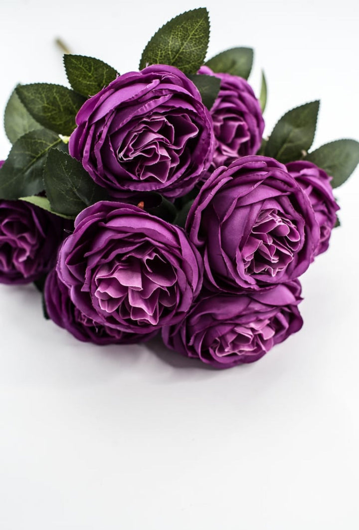 Purple Cabbage Rose Bush - Greenery Market35133PU