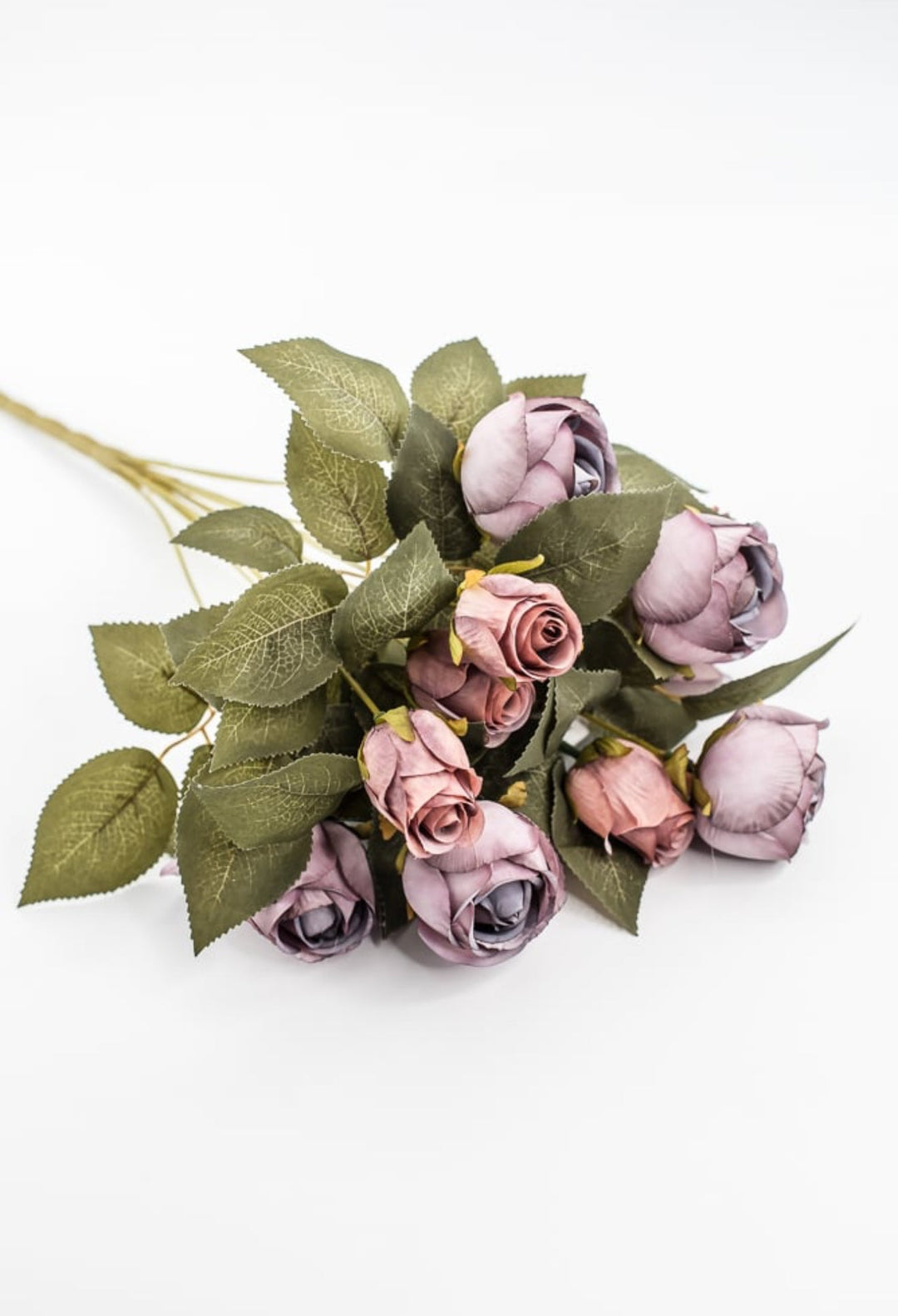 Purple Hazel Rose Bush - Greenery Market57330PU