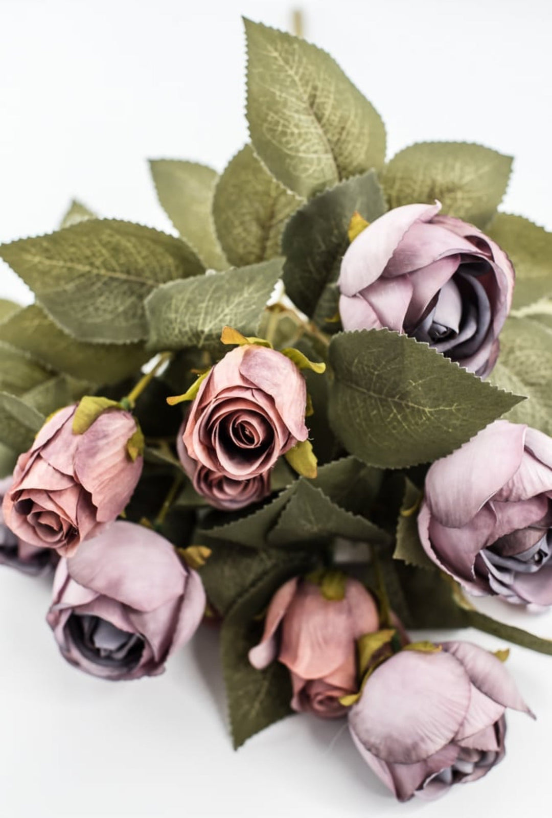 Purple Hazel Rose Bush - Greenery Market57330PU